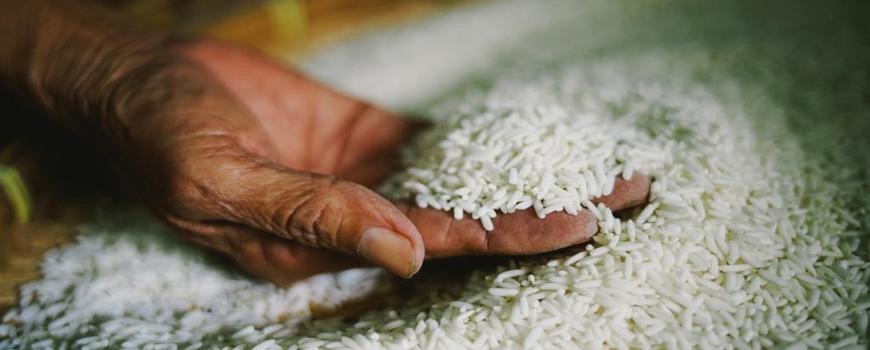 भारतले चामलको निर्यातमा लगाएको प्रतिबन्ध खुलायो 