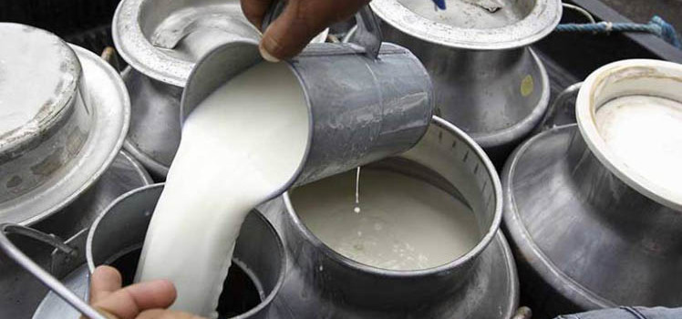 बढाएको दूधको मूल्य फिर्ता