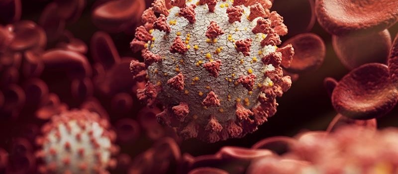 नेपालमा पाँच जना कोरोना सङ्क्रमित थपिए