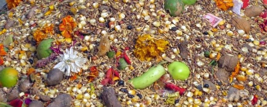 आज बालाचतुर्दशी, शिवालयमा शतबीज छरिँदै